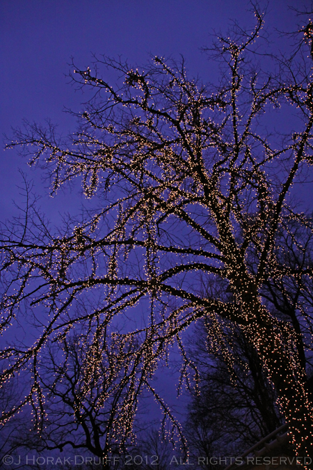 LisebergPark © J Horak-Druiff 2012