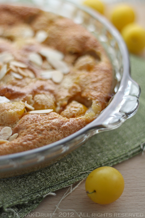 Mirabelle plum & Cognac clafoutis © J Horak-Druiff 2012