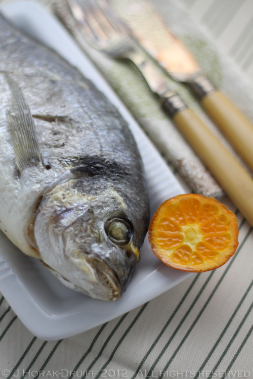 Gilthead bream with clementines 1 © J Horak-Druiff 2012