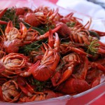 A Swedish crayfish party near Malmö – A Taste of Skåne Part 1