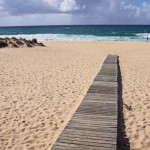 Saturday Snapshots #221