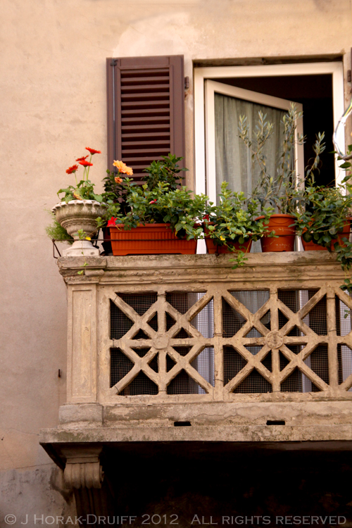 Ferrara window © J Horak-Druiff 2012