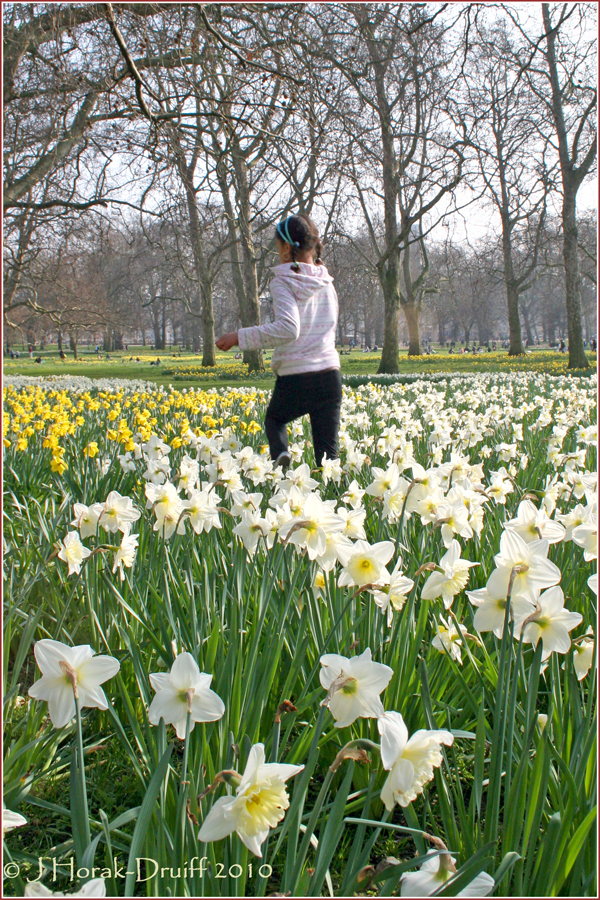Daffodil run Green Park © J Horak-Druiff 2009