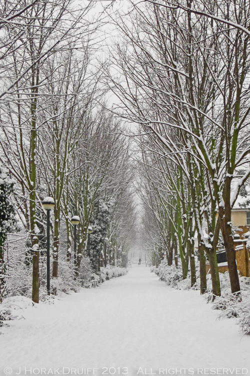 Snowy walk © J Horak-Druiff 2013