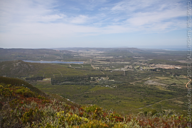 GrootbosFynbosView2 © J Horak-Druiff 2013