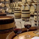 Visiting the Vaucluse – a wine blending workshop at Lavau