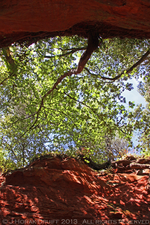 TerraventouxCliffsLookingUP © J Horak-Druiff 2013