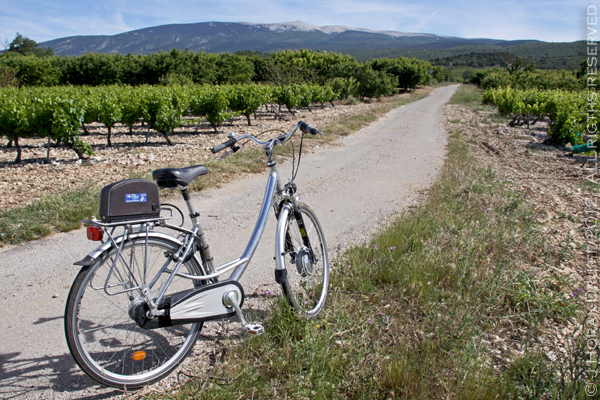 VaucluseTerraventouxBike © J Horak-Druiff 2013