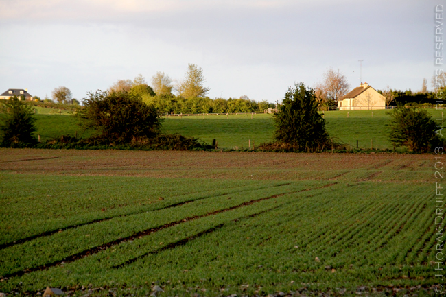 PlateToPageIrelandGreenFields © J Horak-Druiff 2013