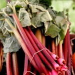 8 Rhubarb recipes you need to try this winter