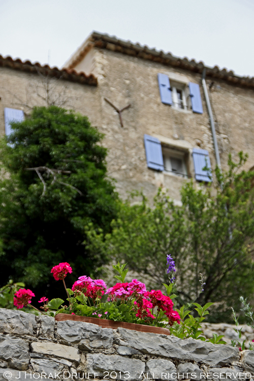 BrantesBuildingGeraniums © J Horak-Druiff 2013