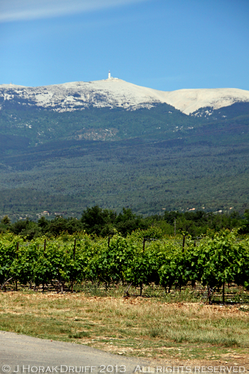 BrantesMontVentoux © J Horak-Druiff 2013