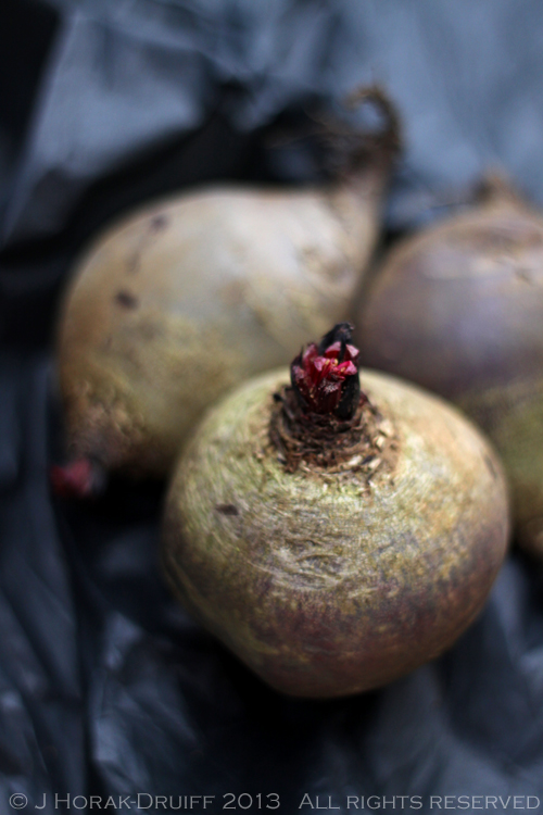 Beetroot © J Horak-Druiff 2013