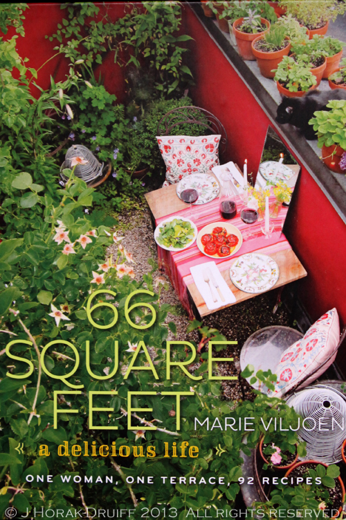 66SquareFeetBookCover © J Horak-Druiff 2013