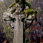 Saturday Snapshots #283