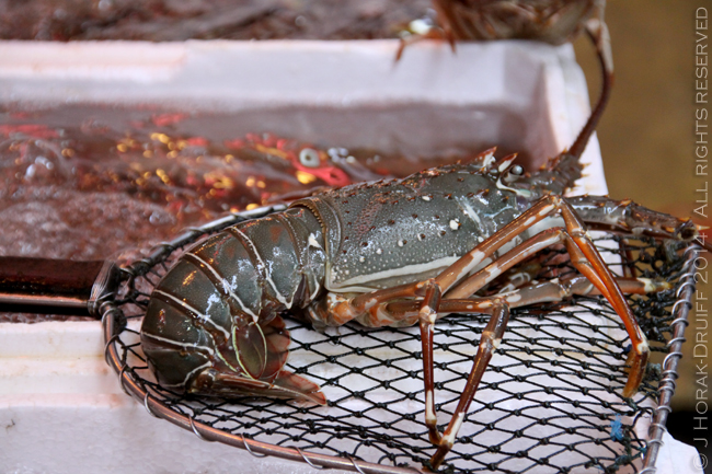 HKfoodietourLobster © J Horak-Druiff 2014