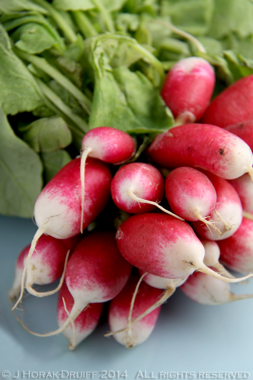 Radishes © J Horak-Druiff 2014