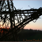 Saturday Snapshots #71