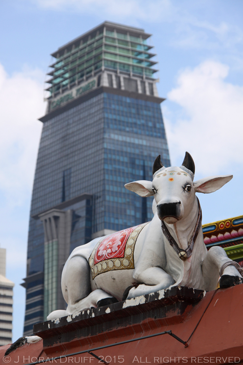 SingaporeTempleCow