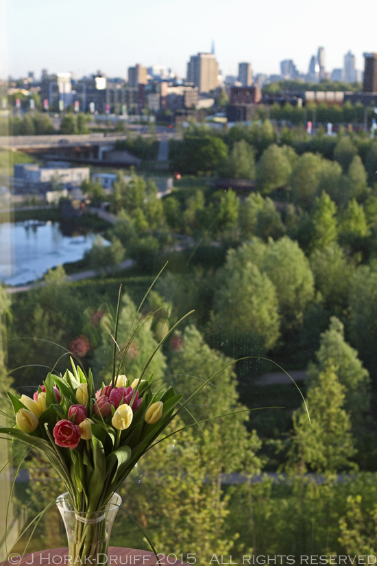 EastVillageTulipView 