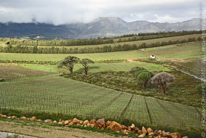 SAWinesWaterkloofView 