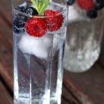 Very berry G&Ts – #LetsCocktail!