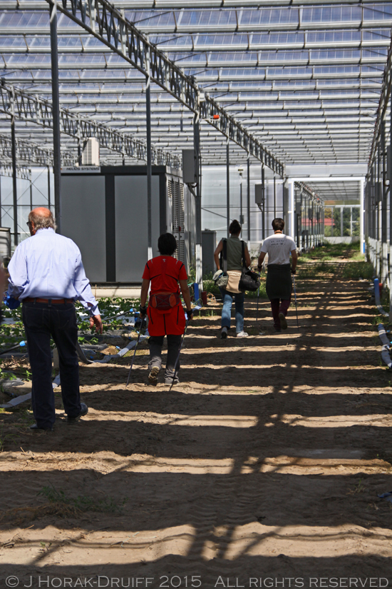 CortrCarrezzabellaGreenhouse