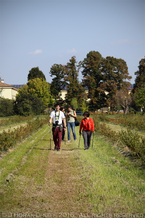 CorteCarrezzabellaNordicWalking 