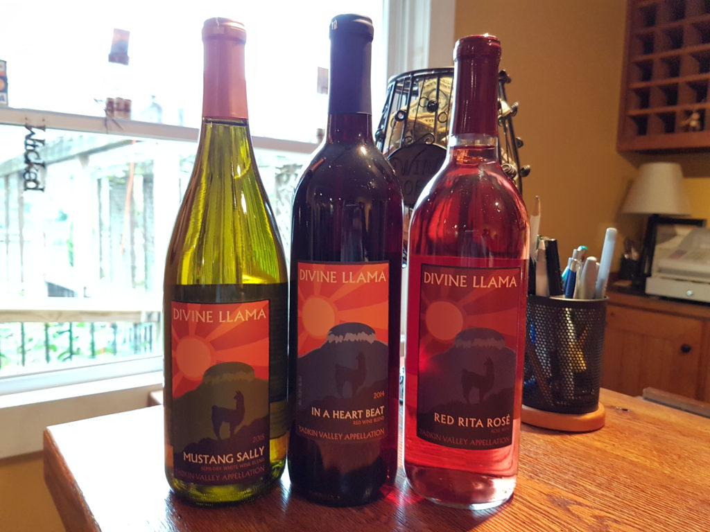 divine-llama-vineyard-yadkin-valley-wine-3