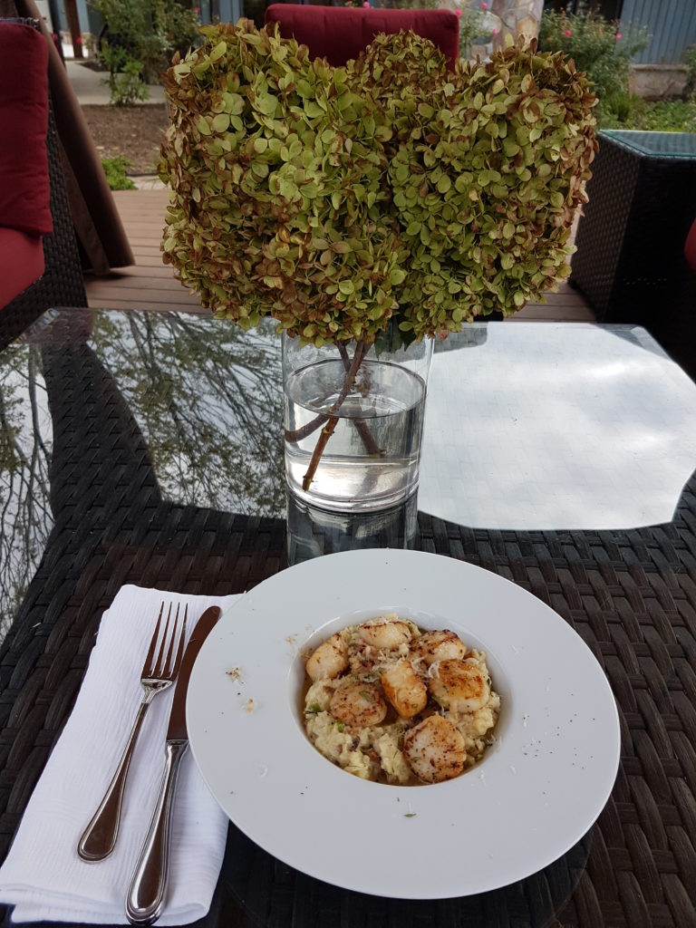 yadkin-valley-jolo-winery-scallops-3