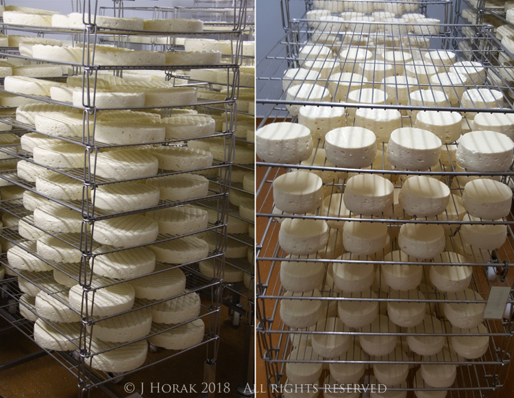 CawsCenarthFreshCheese © J Horak 2018 