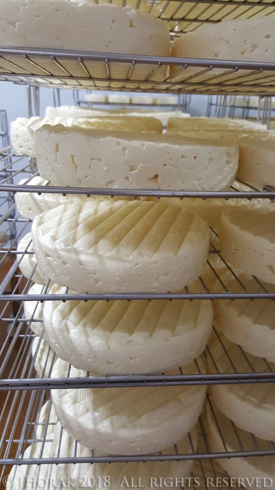 CawsCenarthFreshCheese2 © J Horak 2018 