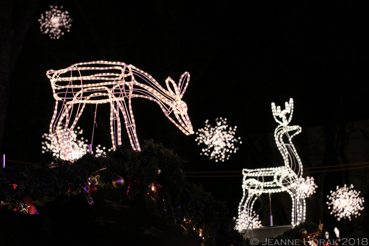 Basel-Christmas-lights3