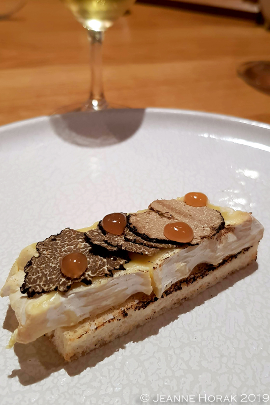 NEW Olive-Tree-Bath-cheese
