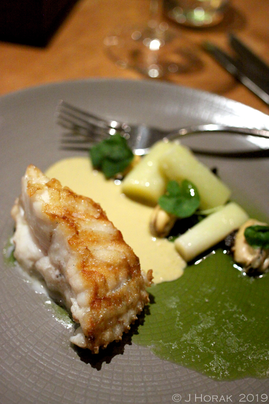 Olive-Tree-Bath-Brill 
