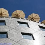 Saturday Snapshots #33