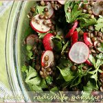 Spicy lentil, radish and parsley salad