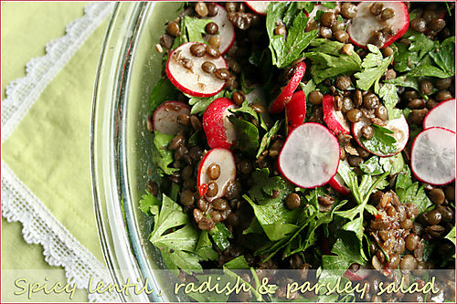 Lentil-radish-parsley-salad