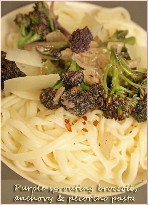 Purple-sprouting-broccoli-anchovy-pecorino-pasta