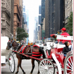 New York, day 5:  The Bigger Little Place