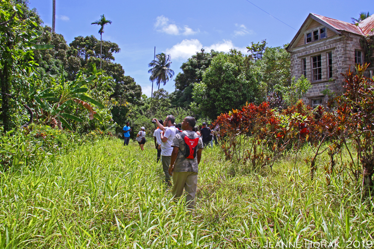 Grenada-Chocolate-Co-walking © J Horak 2019