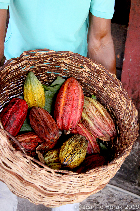 Grenada-Belmont-Cocoa-pods © Jeanne Horak 2019