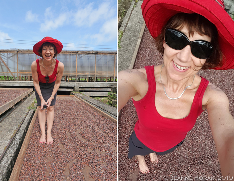 Grenada-Belmont-Jeanne-cocoa-beans © J Horak 2019