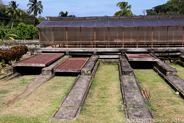 Grenada-Belmont-drying-beans © J Horalk 2019