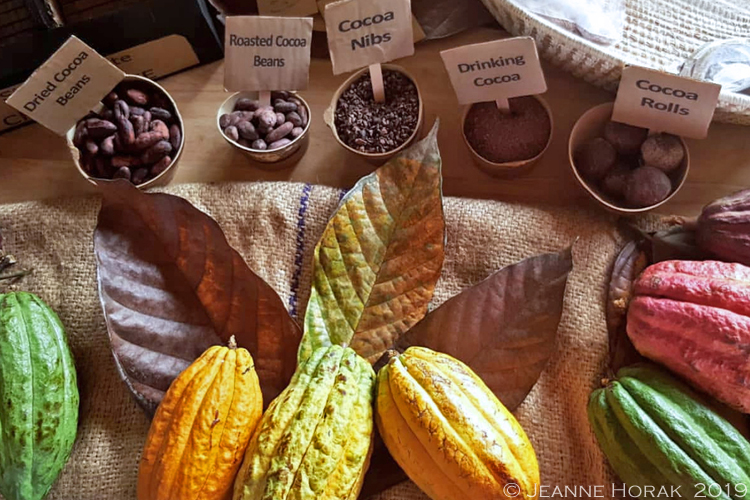 Grenada-crayfish-bay-cocoa-pod-display © J Horak 2019