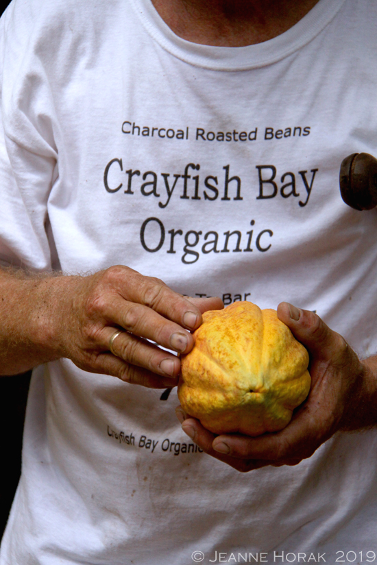 Grenada-crayfish-bay-kim-russell-cocoapod2 © J Horak 2019