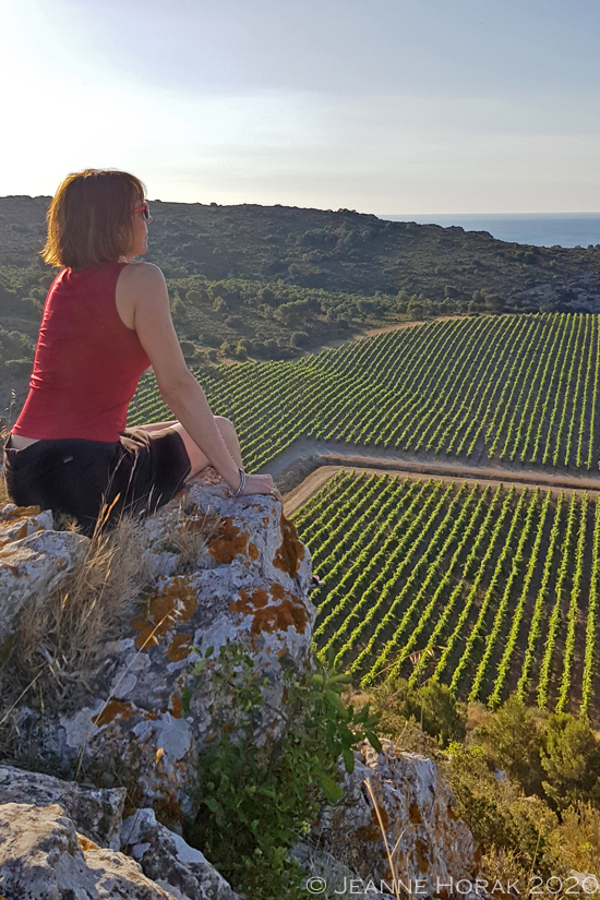 Gerard-Bertrand-Vineyard-view © Jeanne Horak 2020