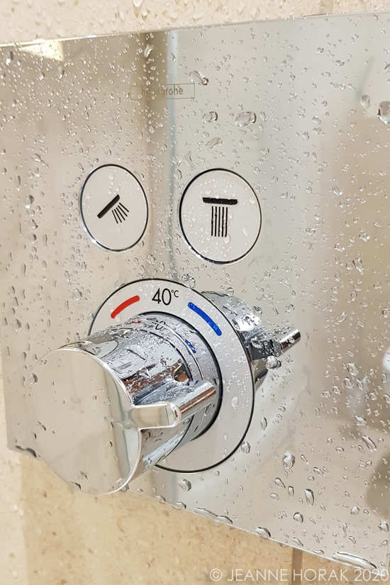 Shower controls