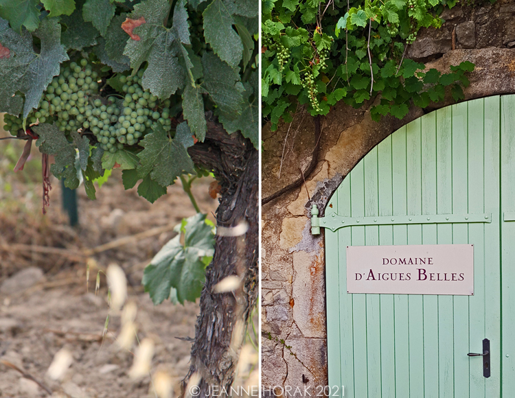 Domaine Aigues Belles cellar door