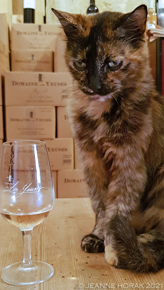 Calico cat and glass of wine